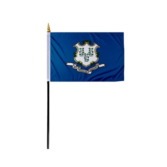 Promopatriot Connecticut CA Mini Stick Flag 4' x 6' inch, Polyester with 11" Plastic Pole