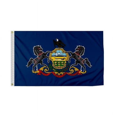PromoPatriot Pennsylvania 12 x 18 Inch Nylon Outdoor Flag