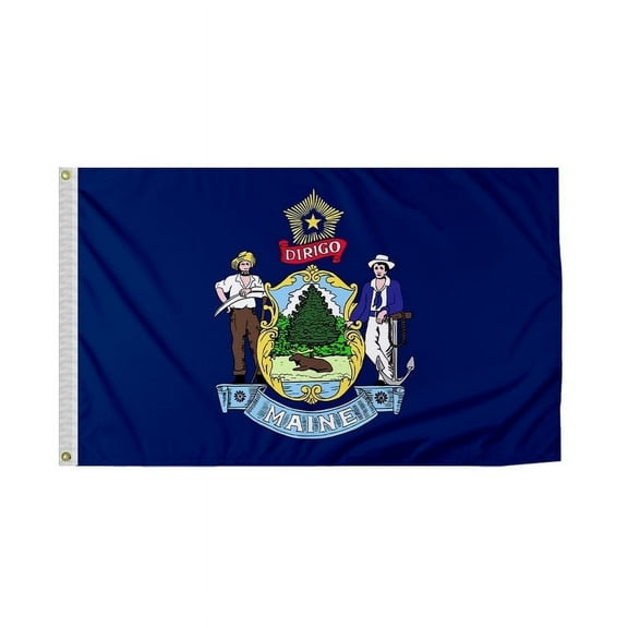 PromoPatriot 12 x 18 Inch Nylon Outdoor Flag