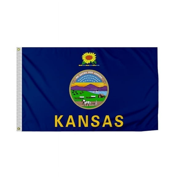 PromoPatriot Kansas State KS Mini Flag on Stick 12x18 inch Polyester Outdoor Handheld