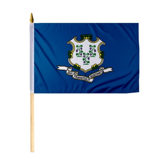 Promopatriot Connecticut Mini State Flag on Stick 12 x 18 inch Polyester CT Bleed Through