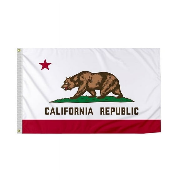 Promopatriot California State Flag 2 x 3 ft Durable Bleed Through Outdoor Nylon with Brass Grommets