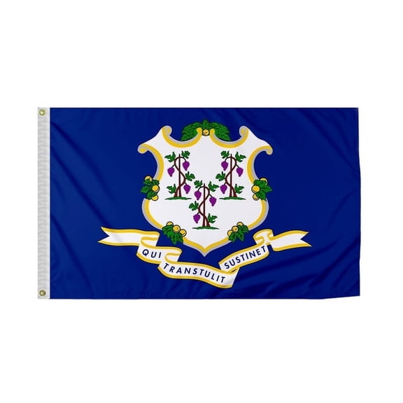 Promopatriot Connecticut State CT Flag 3 x 5 ft Polyester Bleed Through with Brass Grommets
