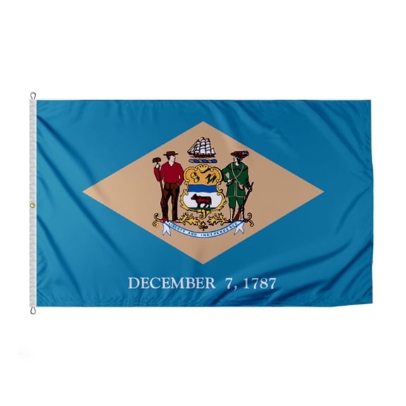 Promopatriot Delaware State DT Flag 3 x 5 ft Polyester Outdoor Banner with Grommets