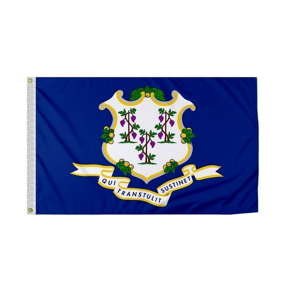 Promopatriot Connecticut CT State Flag 6 x 10 ft Heavy Duty Nylon Outdoor Banner