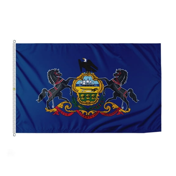Promopatriot Pennsylvania State PA 8x12 ft 200D Nylon Outdoor Flag Heavy Duty with Grommets