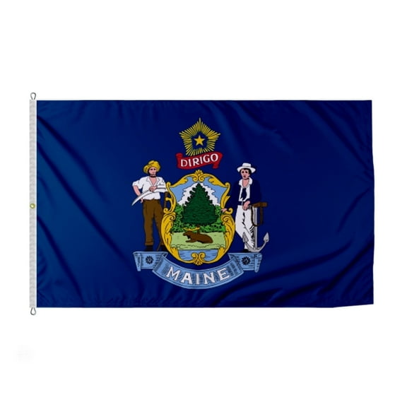Promopatriot Maine ME State Flag 8' x 12' ft Nylon Outdoor Flag, 200D Reverse Print, Grommeted