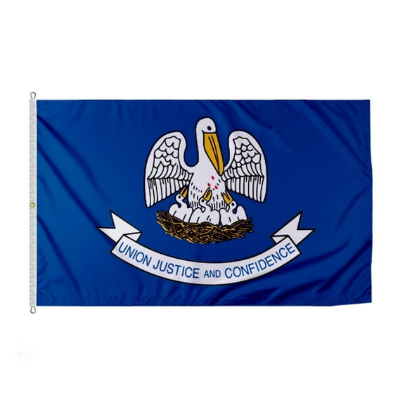 PromoPatriot 8 ft x 12 ft Nylon Outdoor Flag, Reverse Print