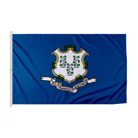 Promopatriot Connecticut CT State Flag 8' x 12' ft Nylon Outdoor Banner with Grommets