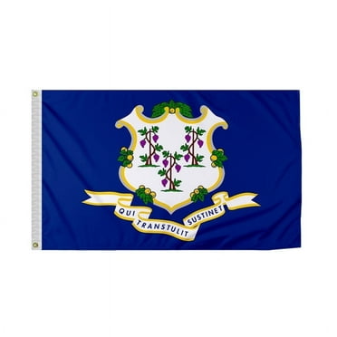 PromoPatriot Connecticut State Flag 4 x 6 ft Nylon Outdoor Flag, Reverse Print, Brass Grommets