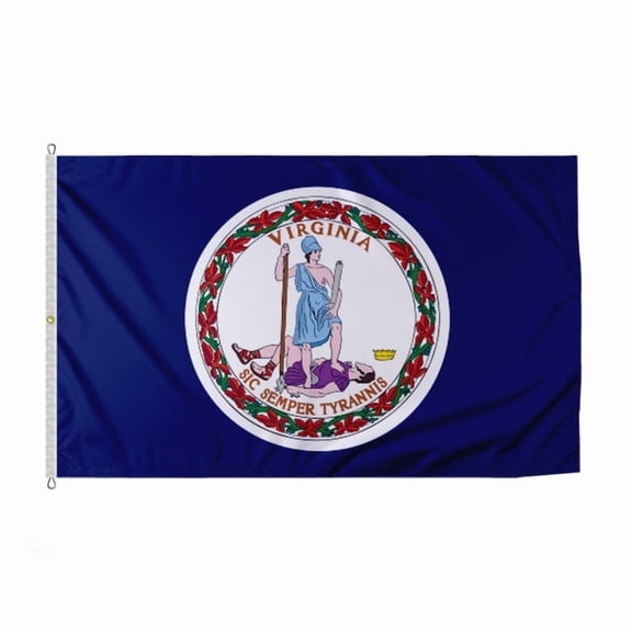 PromoPatriot Virginia 3x5 ft 100% Polyester