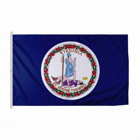 Promopatriot Virginia State VA Flag 4x6 inch Nylon Mini Display Flag