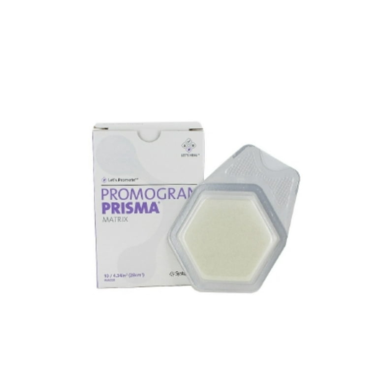 【Macさま専用】Platycerium 'Elsa' とF304 mr-c4848x.jpg