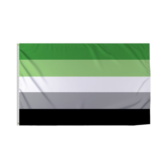 Promopatriot Aromantic Pride Flag 3x5 Ft Printed 200D Nylon Brass Grommets Stitched Edges Fade Proof Sharp Colors - Pride Lgbtq Flag 3x5 Fts