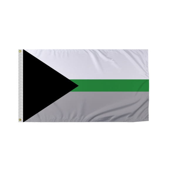 Promopatriot Demiromantic Pride Flag 2x3 Ft Printed 200D Nylon Brass Grommets Fade Proof Sharp Colors