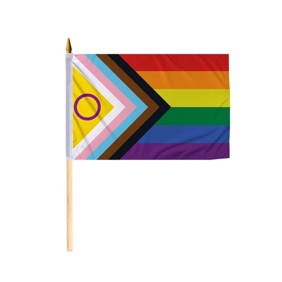 Promopatriot Intersex Inclusive Pride Stick Flag 12x18 inch Stick Flag Sewn Edges Fade Resistant Polyester Handheld 24" Wood Stick Flag