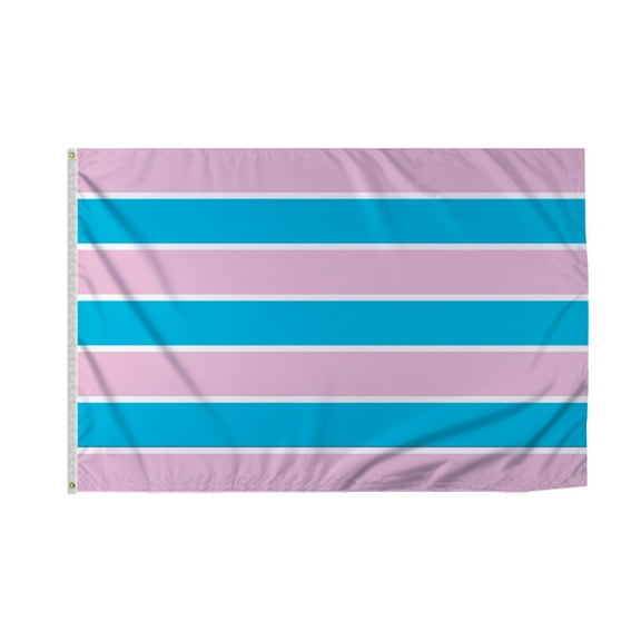 Promopatriot Large Transexual Pride Flag 6x10 Ft Printed 200D Nylon Brass Grommets Stitched Edges - Pride Banner for Indoor/Outdoor