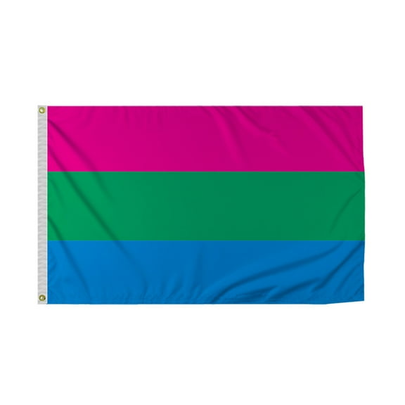 Promopatriot Polysexual Pride Flag 4x6 Ft Printed 200D Nylon Brass Grommets Stitched Edges Fade Proof Sharp Vivid Colors