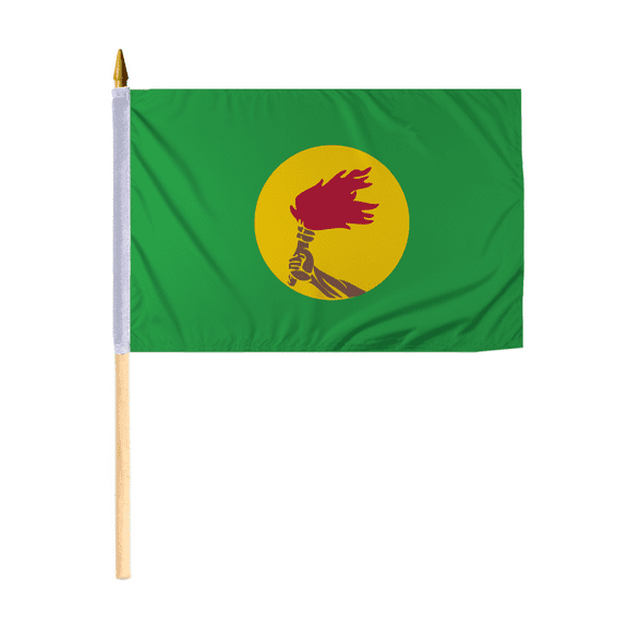 Promopatriot Small Zaire National Desk Flag 12x18 inch 24" Wood Stick Polyester Double Stitched Edges Mini Zaire flag on Stick