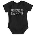 thumbnail image 1 of Promoted Big Sister Expecting Sibling Bodysuit Jumper Girls Infant Baby Brisco Brands 12M, 1 of 6