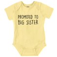 thumbnail image 1 of Promoted Big Sister Expecting Sibling Bodysuit Jumper Girls Infant Baby Brisco Brands 12M, 1 of 6