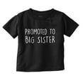 thumbnail image 1 of Promoted Big Sister Expecting Sibling Youth T Shirt Tee Girls Infant Toddler Brisco Brands 12M, 1 of 5