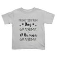 thumbnail image 1 of Promoted From Dog Grandma To Human Grandma Cute Toddler Tshirts for Boys Girls (Gray, Youth L), 1 of 5