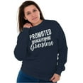 thumbnail image 1 of Promoted Grandma Announcement Cute Women Crewneck Sweatshirt Brisco Brands L, 1 of 6