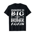 thumbnail image 1 of Promoted To Big Brother Again Older Brothers Gift T-Shirt, 1 of 5