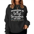 thumbnail image 1 of Promoted To Great Grandma Est 2026 First Time Graphic Pullover New Baby Sweatshirt, for men & women, up to size 5XL, 1 of 2