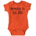 thumbnail image 1 of Promoted to Big Brother Announcement Bodysuit Jumper Boys Infant Baby Brisco Brands 12M, 1 of 7