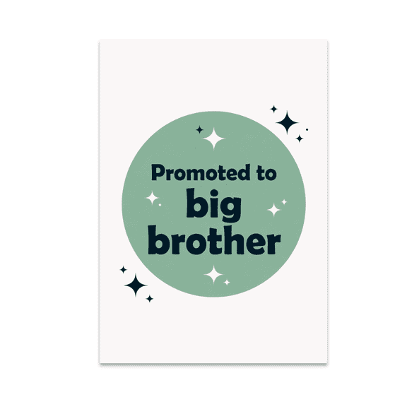 Big Brother Posters