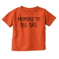 thumbnail image 1 of Promoted to Big Brother Announcement Youth T Shirt Tee Boys Infant Toddler Brisco Brands 4T, 1 of 5