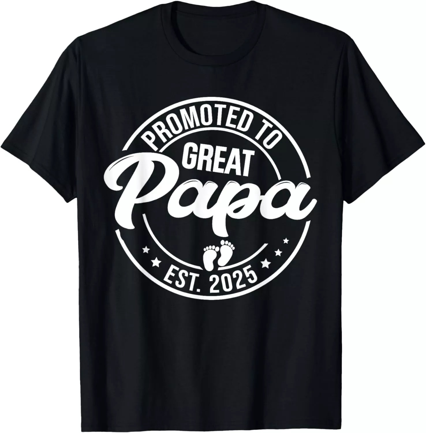 Promoted to Great Papa 2025 Pregnancy Announcement New Dad TShirt