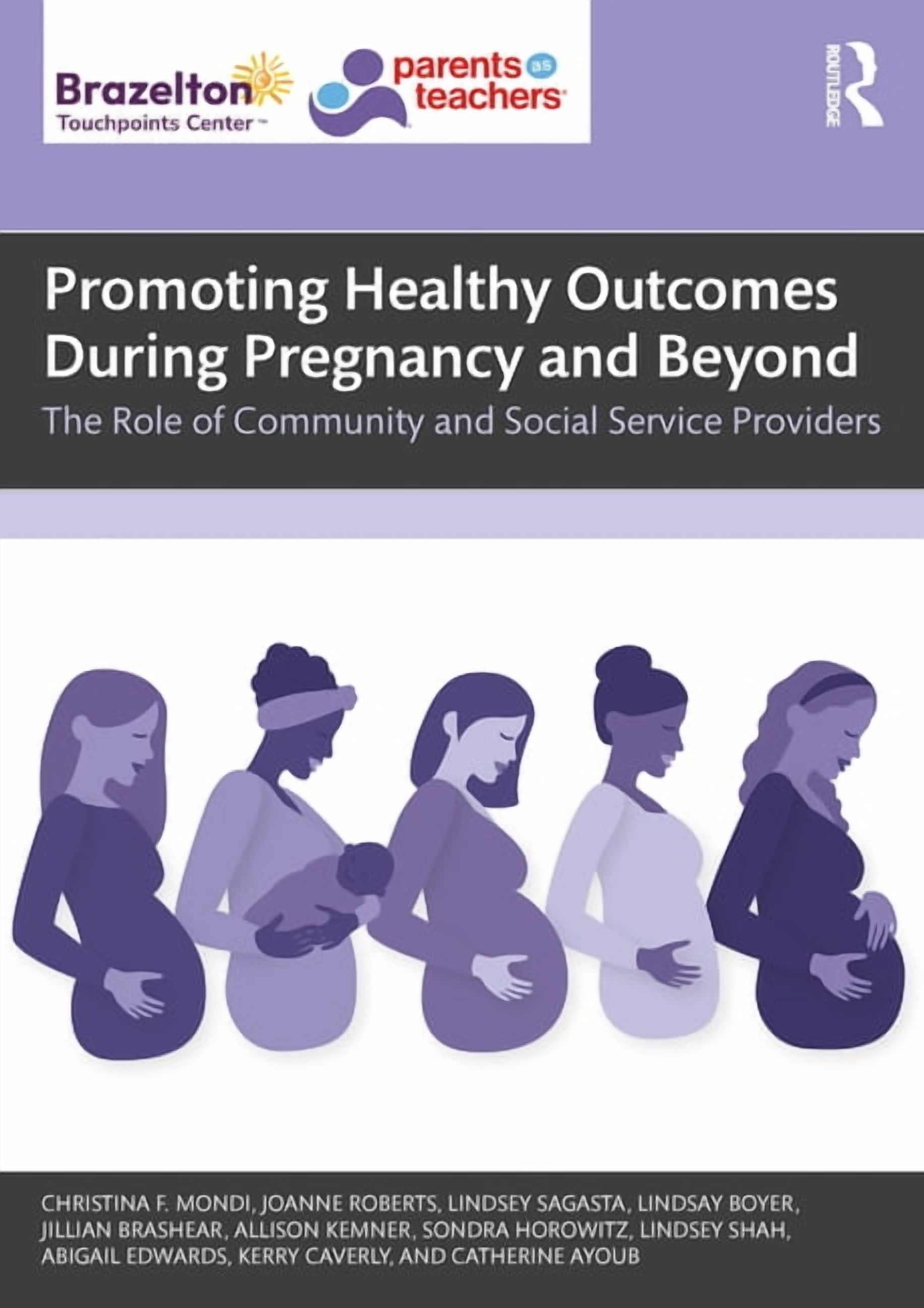 Promoting Healthy Outcomes During Pregnancy and Beyond: The Role of Community and Social Service Providers, (Paperback)