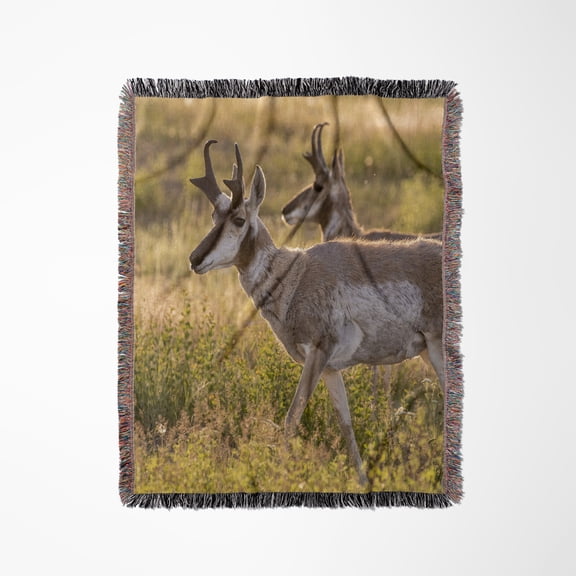 Pronghorn Antelope At The National Bison Range In Moiese, Montana., Woven Blanket