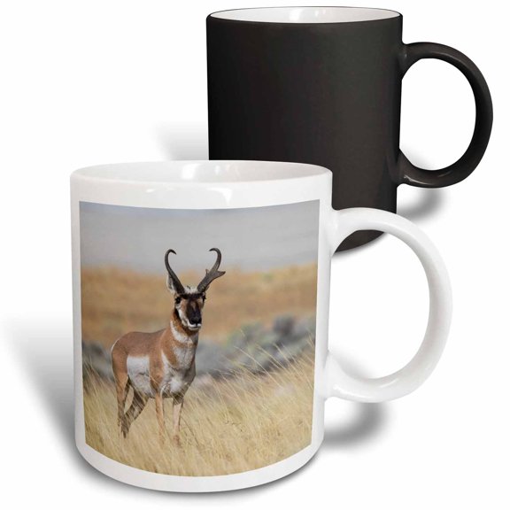 3drose, Pronghorn Antelope Buck, 11oz Magic Transforming Mug