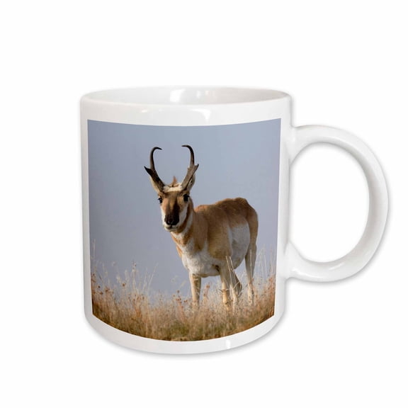 3drose, Pronghorn Antelope Buck., 11oz Mug