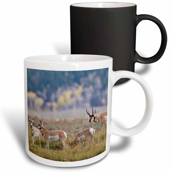 3drose, Pronghorn Antelope Buck and Does, 11oz Magic Transforming Mug