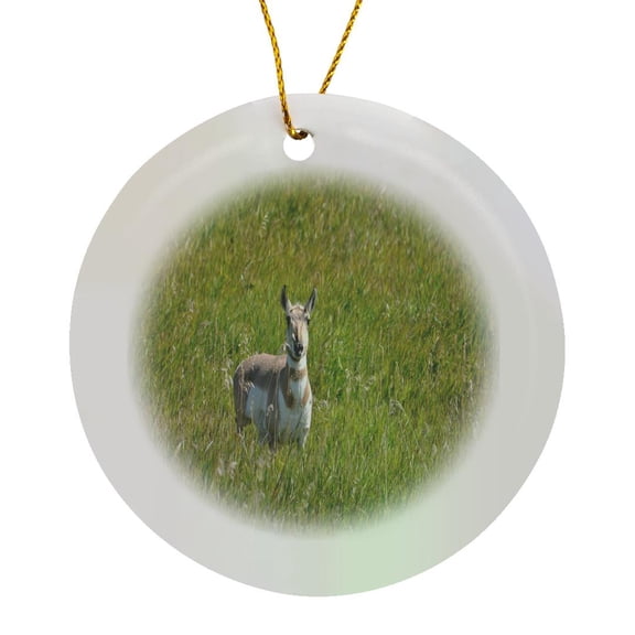 3drose, Pronghorn Antelope in the Badlands, Circle Porcelain Ornament