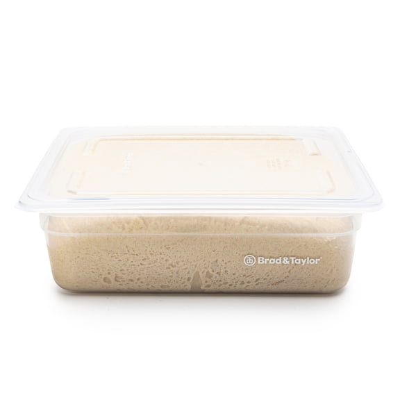 Brod & Taylor Stackable 6LProofing Container With Lid for Mixing, Proofing, and Folding Dough - Set of 2