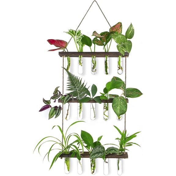 Propagation Station, Plants Terrarium, Plants Lover Gifts for Women,Plant Cutting Holder Home dcor,Gifts for Women,House Warming New Home-15 Tubes-Brown