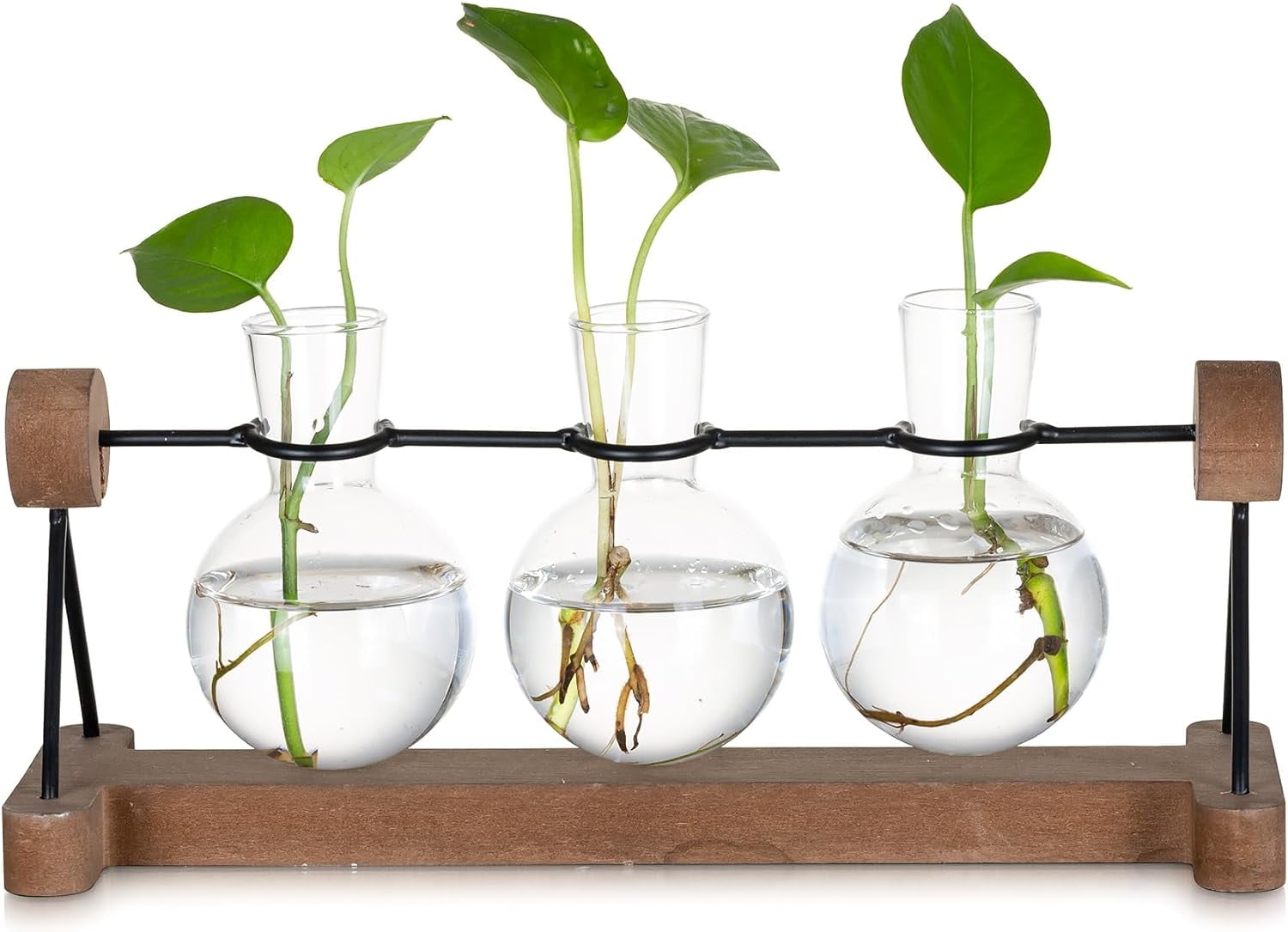 Propagation Stations Glass Planter Terrariums Plant Propogation