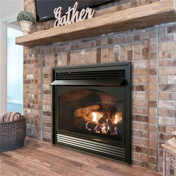 Propane Gas IP Fireplace with Blower