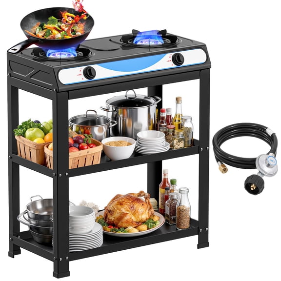 Propane Gas Stove, 2-Burner, Auto Ignition, Portable, Stainless Steel, 19000 BTU/hr, Perfect for Outdoor Kitchens
