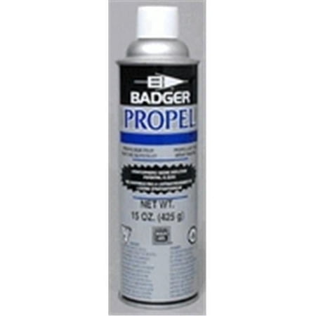 Propel Large Can 13Oz