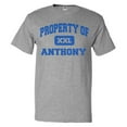 thumbnail image 1 of Property of Anthony T shirt Funny Tee Gift, 1 of 2