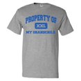 thumbnail image 1 of Property of My Grandchild T shirt Funny Tee Gift, 1 of 2