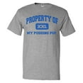 thumbnail image 1 of Property of My Pudding Pop T shirt Funny Tee Gift, 1 of 2