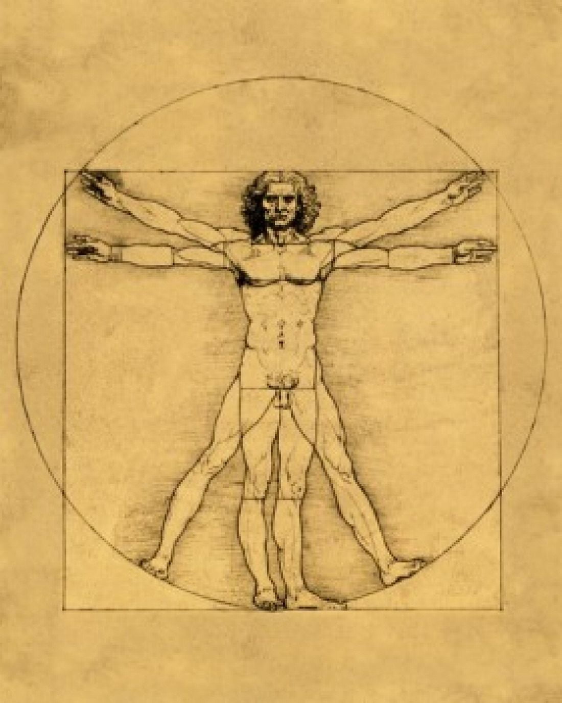 Proportions of the Human Figure (Vitruvian Man) ca 1485-1490 Leonardo da Vinci (1452-1519 Italian) Pen and ink Galleria dellAccademia Venice Italy Canvas Art - Leonardo da Vinci (24 x 36)